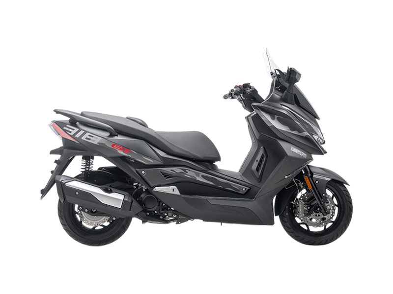 ARIIC 318GT -  black